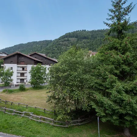 Valtellina - Vicino Salita Baradello Daire